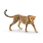 14746 - Cheetah female